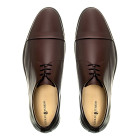 Sapato Social Derby Cap-toe Alava Café