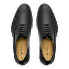 Sapato Social Oxford Reina Preto